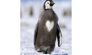 Молодые специалисты  